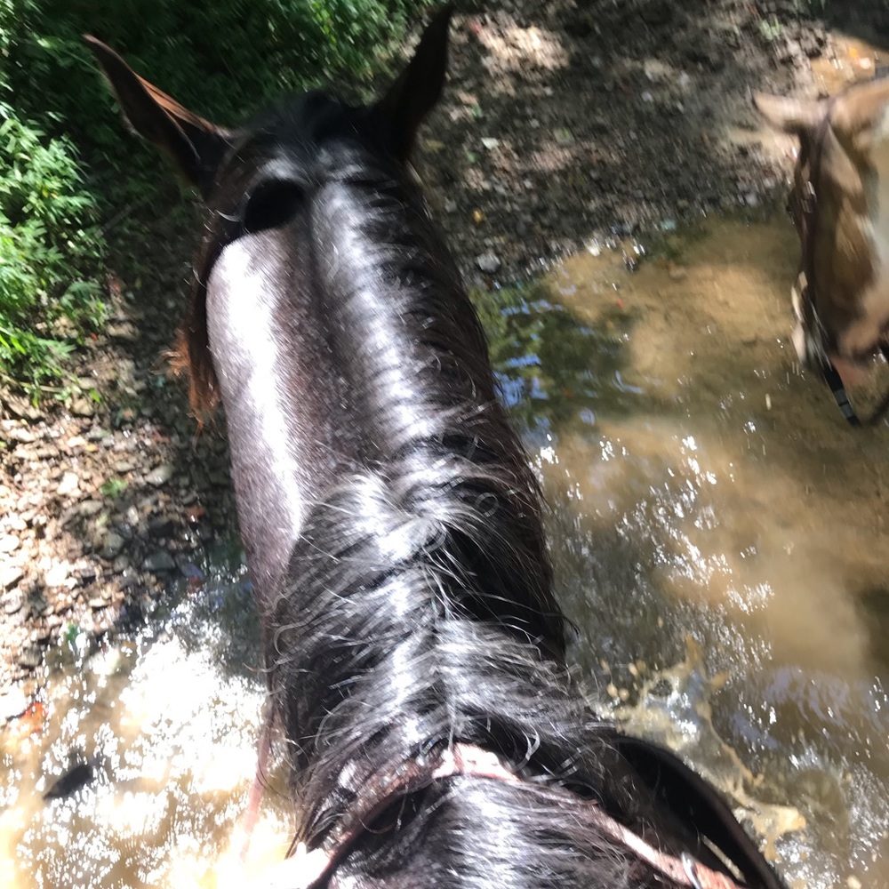 Meet your Posher, Deanna